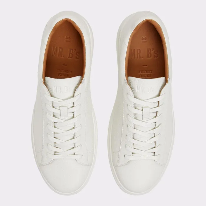 ALDO Sneakers Men Seeger Ice