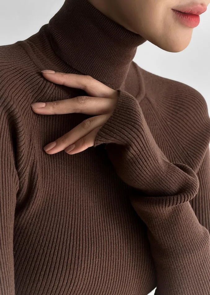 Aubree Turtleneck 8211 Brown Women The Frankie Shop Clothing