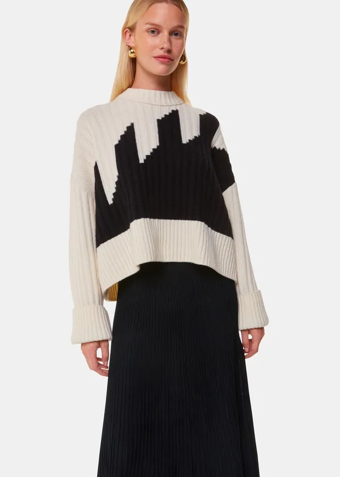 Black Knitted Pleated Skirt Women Whistles Skirts