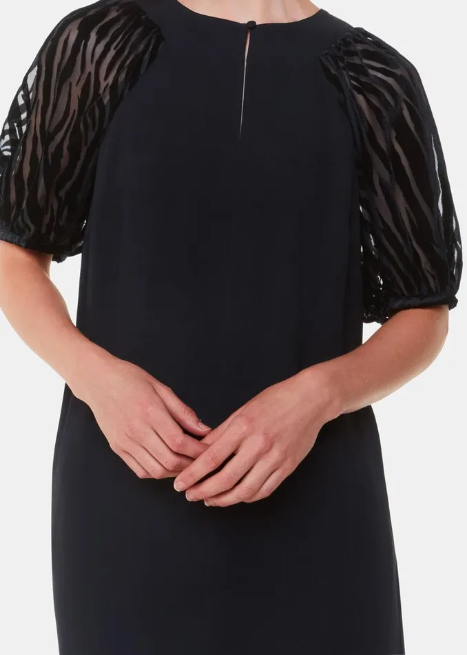 Black Lucy Zebra Velvet Sleeve Dress Women Whistles Dresses