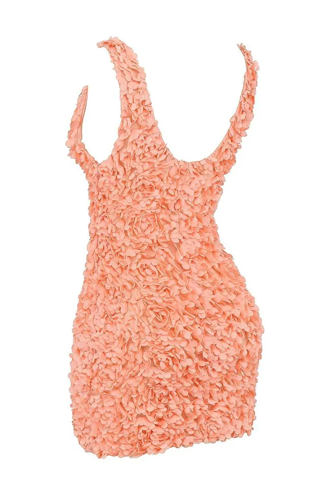 House Of CB Faena Sorbet Plunge Floral Appliqu Mini Dress Women Dresses House Of CB Faena Sorbet Plunge Floral Appliqu Mini Dress Women Dresses