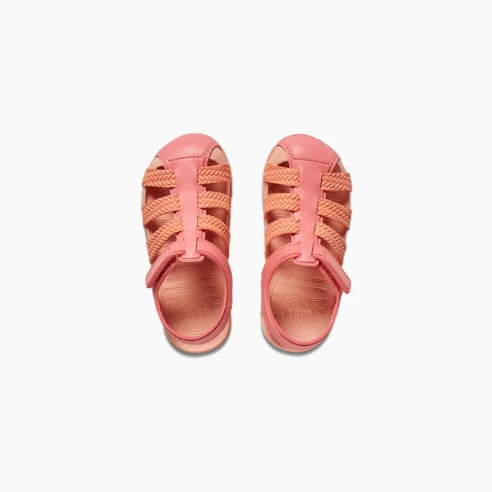 Little Water Beachy Coral Mix Kids Reef Littles 24 Years