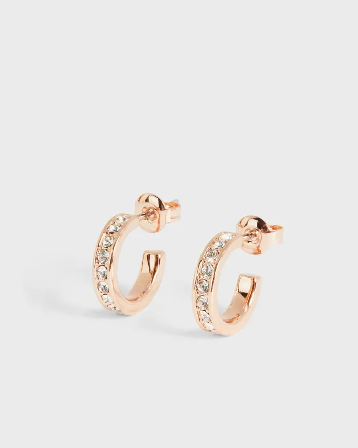 Ted Baker Jewellery Women SEENITA 8211 Nano Hoop Huggie Earrings Rose Gold Colour