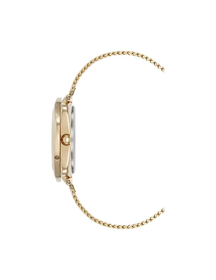 Women Elegant Hidden Crystal Watch Set Anne Klein Watches