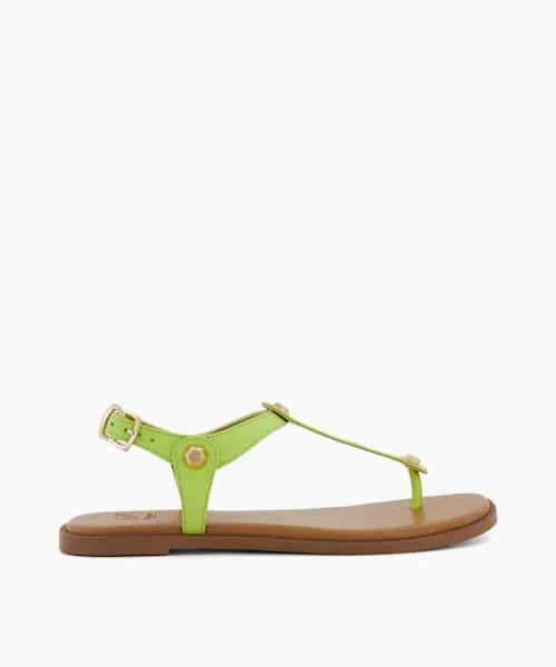 Women Flat Sandals Dune London Larter 8211 Lime Green Green