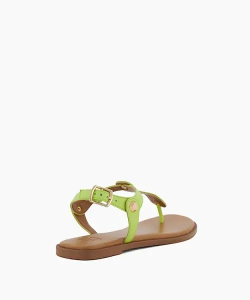 Women Flat Sandals Dune London Larter 8211 Lime Green Green Women Flat Sandals Dune London Larter 8211 Lime Green Green