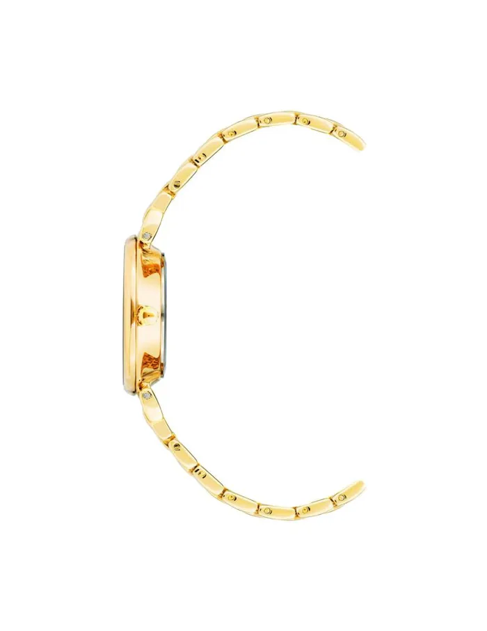 Women Roman Numeral Dial Watch Greengoldtone Anne Klein Watches